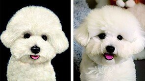 ‘손 작품’인줄 알았는데 ‘AI 작업’… 그림시장 논란 