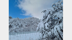 [날씨]아침 최저 -8도 뚝…강원 영동엔 최대 20㎝ 눈
