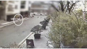 국대 출신 ‘피지컬 100’ 출연자 폭행에…잠옷 바람 피신한 여친