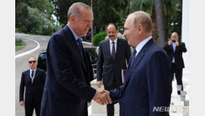 에르도안, 푸틴과 통화 “정의로운 평화” 촉구