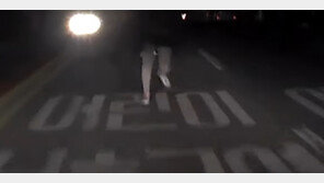 만취한 남녀, 차량으로 뛰어들어…처벌 가능할까 (영상)