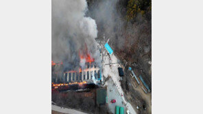 김천 양계장서 화재, 1시간21분 만에 초진…닭 4만 마리 폐사