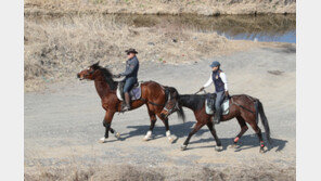 3·1절 전국 영상권 ‘포근’…비·눈 그치고 ‘맑은하늘’