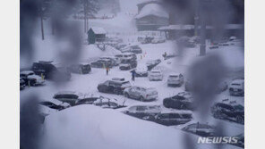 캘리포니아 일대에 눈폭풍…LA부근 12만세대 정전사태