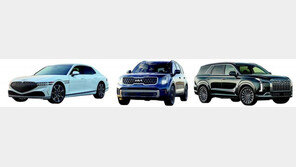 측면 60km 충돌에도 ‘굿’… 현대차-기아 3종, 美서 ‘안전 최고등급’ 