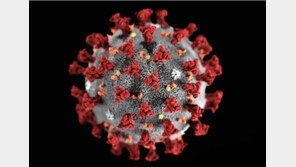 美 에너지부 “코로나, 中 우한 연구소서 유출” 결론