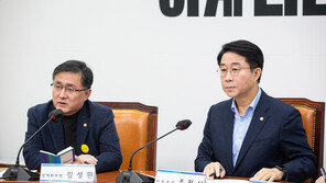 민주 “정치영장 압도적 부결 시킬 것…李, 당헌 80조 해당 안 돼”