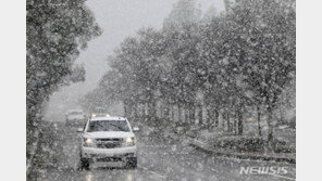 美 덮친 겨울 폭풍, 캘리포니아로 이동…1989년 이후 첫 눈 폭풍 경보