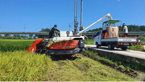 지난해 전국 논·밭 경지면적 1.2% 줄어…10년째 감소