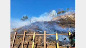 포항 구룡포 야산서 불…0.1ha 태우고 1시간 만에 진화