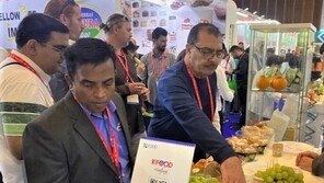 중동서 부는 ‘K-푸드 바람’… aT, 두바이 식품박람회 한국관 참가