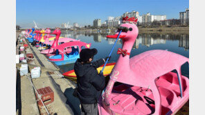 오리배도 ‘봄맞이 새단장’