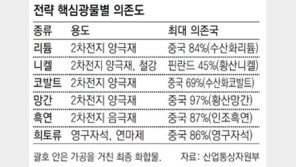 해외자원 투자 공제 부활… 10대 광물 中의존 낮춘다 