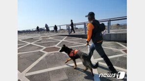 서귀포 새연교 인근서 실종 40대, 3주 만에 테트라포드서 숨진 채 발견