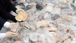 日서 온 ‘어묵’ 우편물 여니 멸종위기 고래고기가…밀수 일당 검거