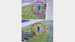 침대보 엮어 담 넘었다…영화 같은 탈옥 실제로 [영상]