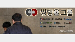 “쌍방울, 北 자원개발 사업 합의 정부에 보고 안해”