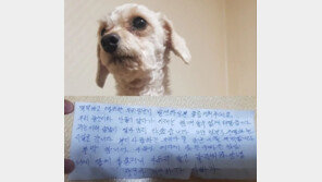“제가 살날 얼마 안 남아…장군이 부탁합니다” 견주의 쪽지, 누리꾼 울렸다