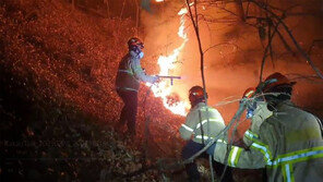 경북 예천서 산불… 주민 244명 긴급대피 