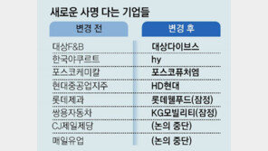 ‘제과’ ‘케미칼’ ‘車’ 떼고 새 간판… 롯데제과 등 이름 바꾸기 바람