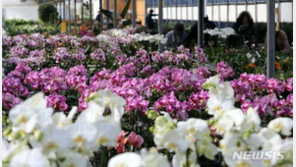 [날씨]겨울 끝나고 봄 시작…다음주 내내 맑고 포근한 날씨