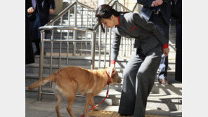 “성남FC는 제3자 뇌물, 코바나는 협찬”…검찰 판단, 왜?