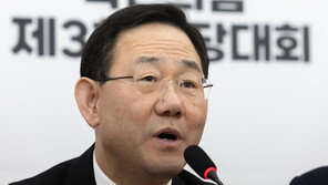 與 “李 체포동의안 제출시 불참?…민주당판 십자가 밟기”