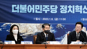 민주, 공천에 ‘개딸 여론조사’ 반영 가능성…혁신위 “논의중”