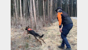 제주 119구조견 새식구 ‘강호’ 본격 임무 수행 나선다 