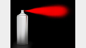 탈세 신고했다고 붉은 래커칠…손님 집 찾아간 50대 기소