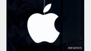 애플, 챗GPT 활용 이메일 앱 업뎃 거부…“아동에 부적절”