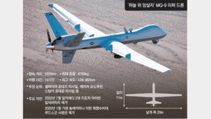 [단독]‘하늘의 암살자’ 무인공격기 리퍼, 한반도 첫 전개