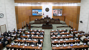 서울시의회 ‘청년 탈모 지원’ 심사 보류…시 “세대갈등 우려”