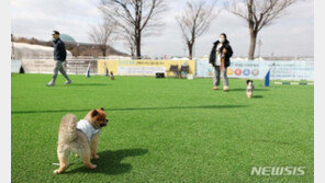 내일 아침 -3~5도 일교차 커…중부내륙 미세먼지 ‘나쁨’