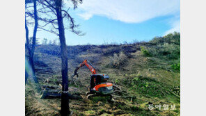 울진-삼척 산불 1년… 이재민들 “집에 돌아가는게 마지막 소원” 