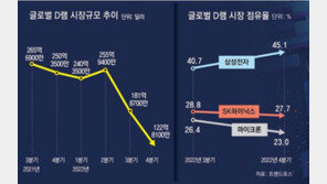 작년말 D램 매출 금융위기 수준 급감… “올해도 반등 어렵다” 