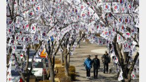 벚꽃 핀 줄, 가까이 보니 ‘태극기 나무’…“훨씬 예쁘다” 뜨거운 반응