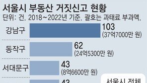 서울 부동산 거짓신고, 5건 중 1건이 강남구