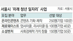 서울시, 신성장 분야 청년 일자리 500개 만든다