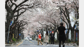 낮 15~26도 초여름 날씨…서울 9~21도, 부산 12~20도