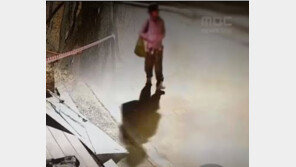 밤 10시 서울 도봉산 올라간 40대女…얼마 뒤 불 ‘활활’