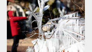 3년만의 3월 중순 한파특보 ‘꽃샘추위’…전국 최저 -8도