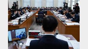 “최악의 외교실패”“백기투항”…野, 행안위서 강제동원 해법 공세