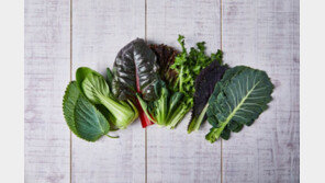 ‘이것’ 많이 섭취하면…치매 예방에 도움된다