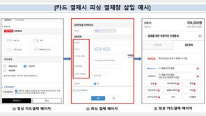 금감원, 해외직구·온라인쇼핑몰 카드정보 유출 ‘주의보’