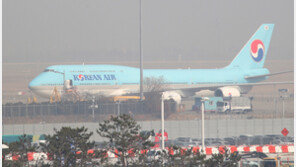 대한항공 여객기 실탄 유입경로 수사…엑스레이 영상분석·유전자 감식