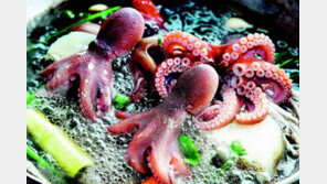 보령 ‘도다리·주꾸미 축제’ 18일 개막