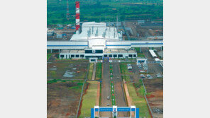 현대차, 인도 GM 공장 인수 추진… “中-러 대체할 시장 떠올라” 