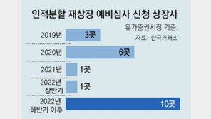 “경쟁력 향상” 기업분할 줄잇는데… “개미들 지분만 희석” 우려 