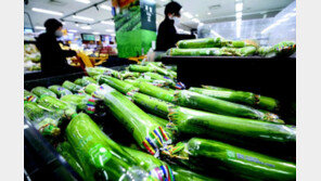 “채소값 급등에 장 보기 겁나요” 